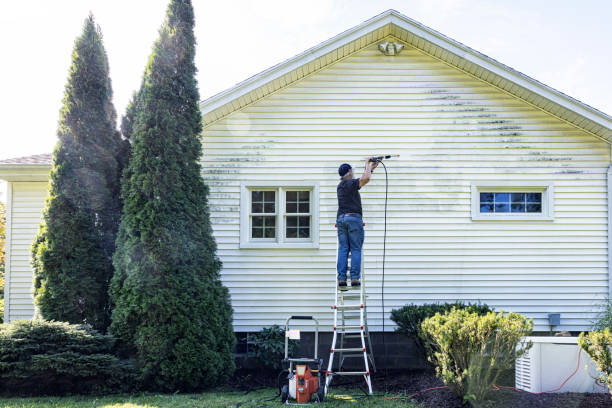 Local Pressure Washing Services in Leonard, TX